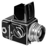 6x6 Medium Format
